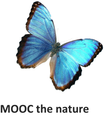 MOOC the nature.png